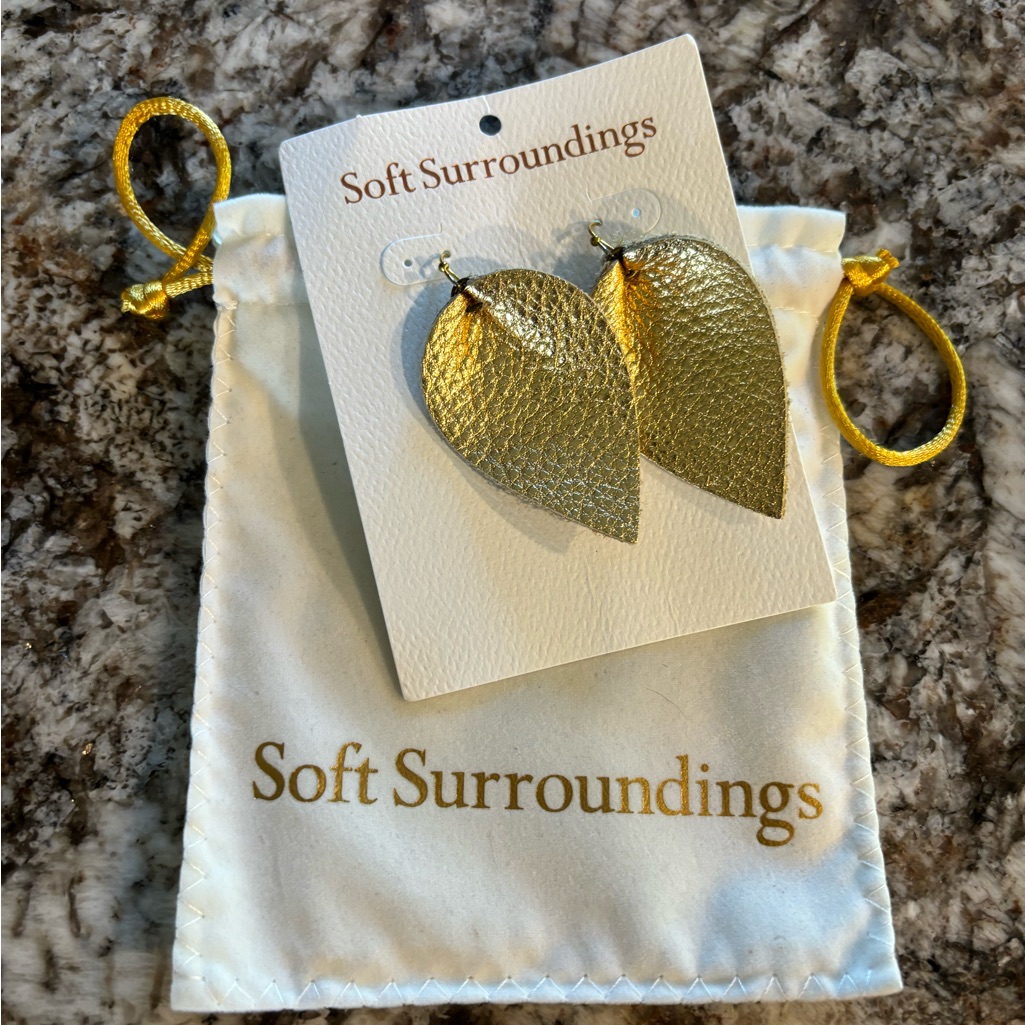 Soft Surroundings Earrings 10$